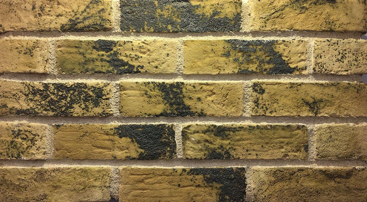 Doğal Tuğla Curyouss - 409