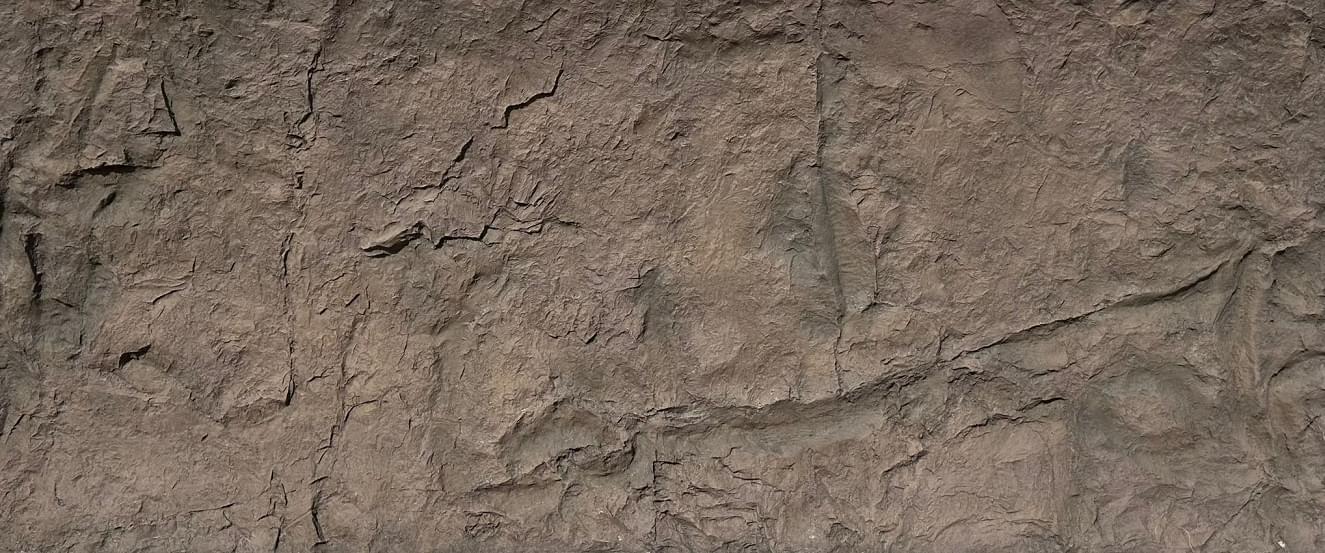 Canyon Marron Dekoratif Kaya Panel Kaplama Modelleri